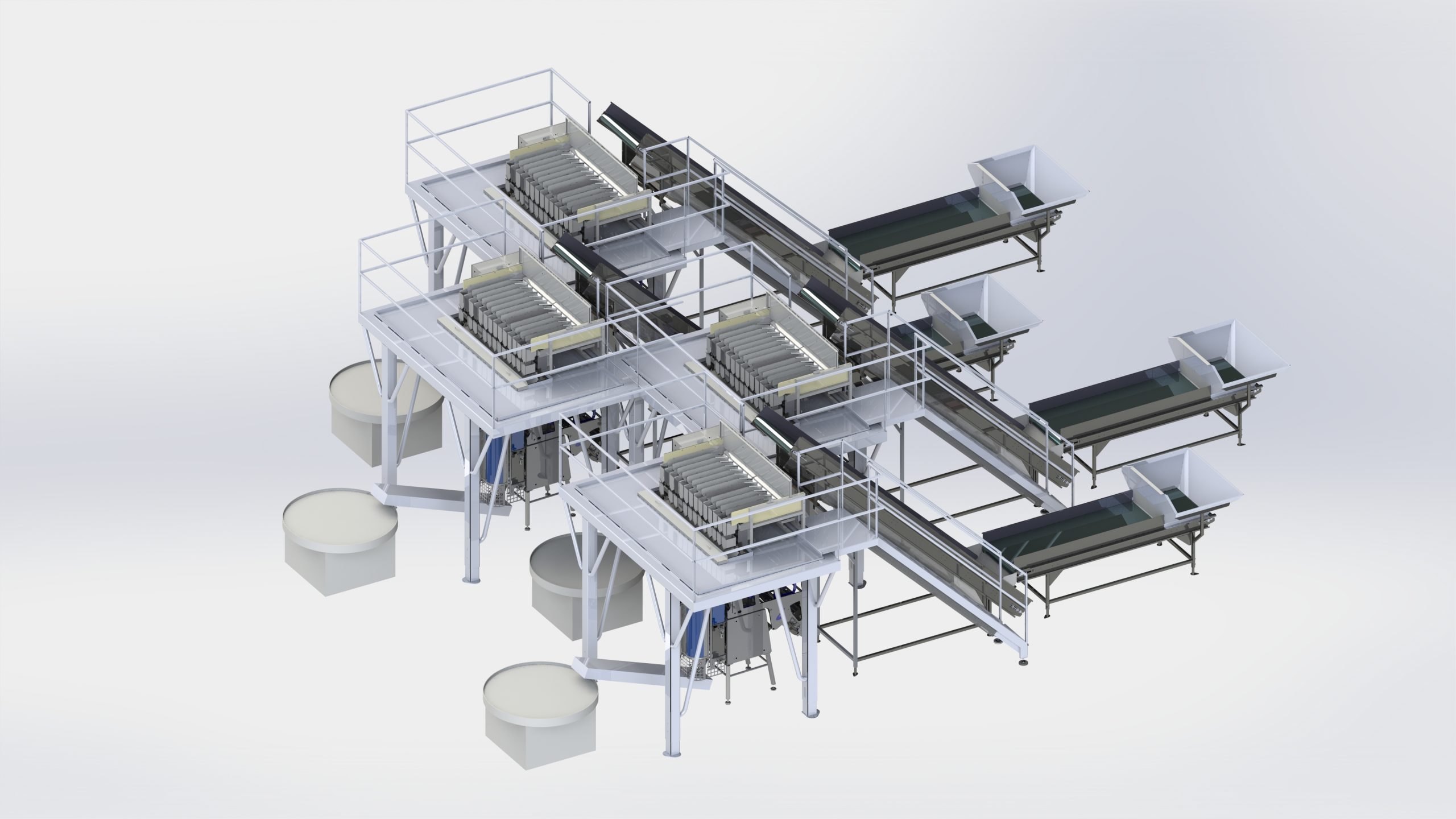 Ligne de conditionnement pour radis avec convoyeurs, peseuses associatives Newtec, ensacheuses et tables de visite
